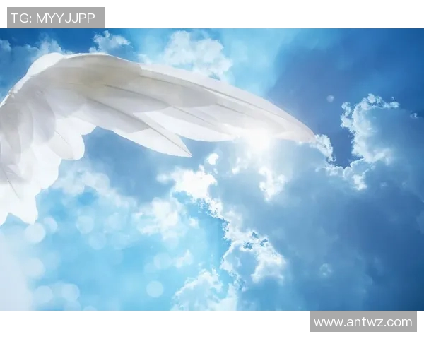 八月十二梦想与自由的交汇点探寻心灵的真实与渴望